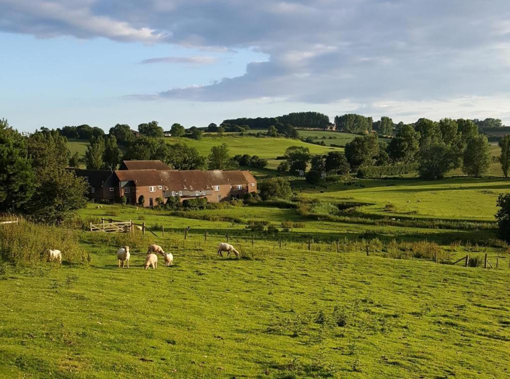 Winchelsea Lodge エクステリア 写真