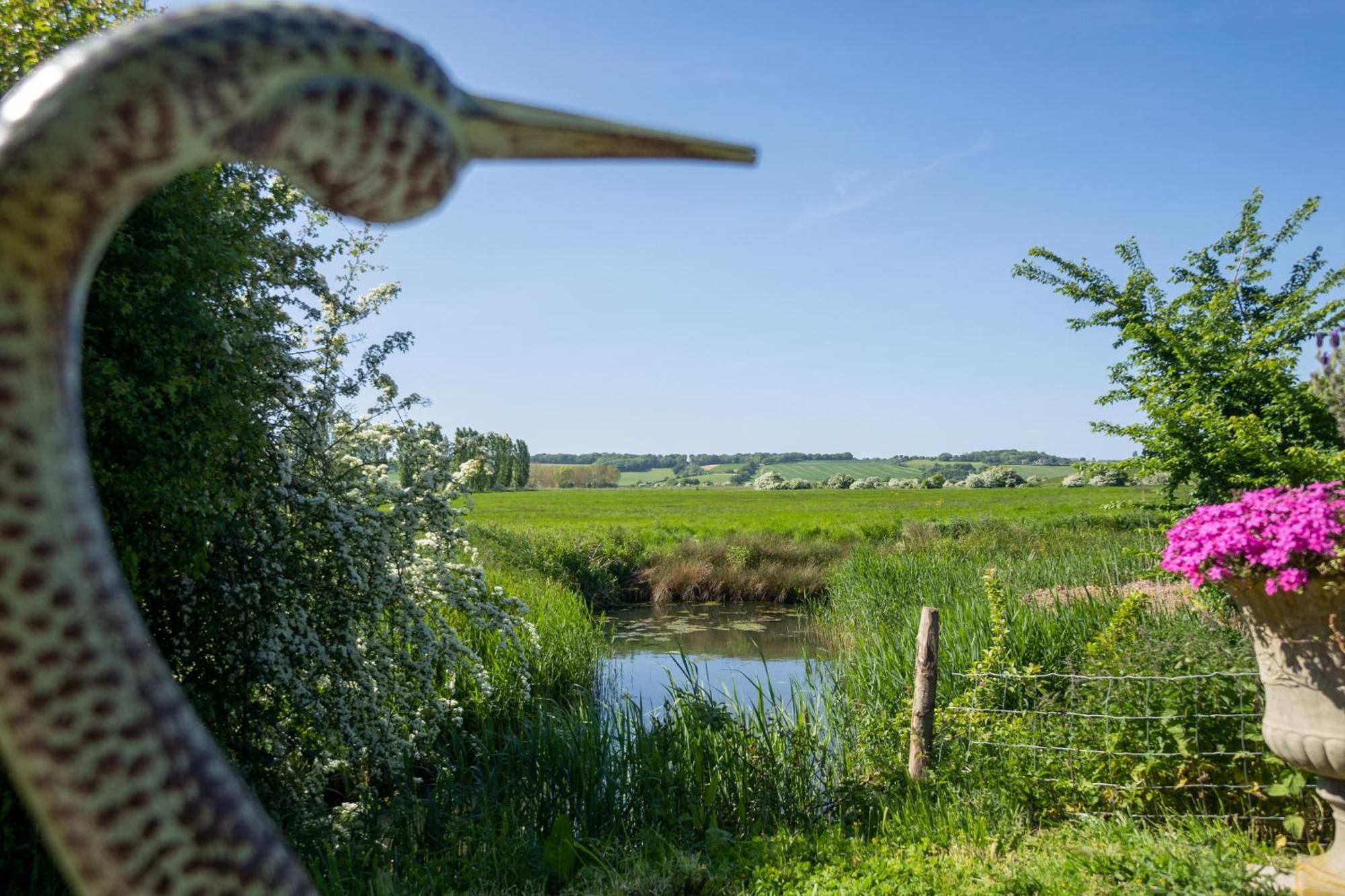 Winchelsea Lodge エクステリア 写真